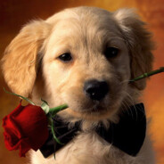 随心所欲不逾矩