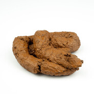 ᴅᴏᴏᴋɪᴇɴᴀᴛᴏʀ