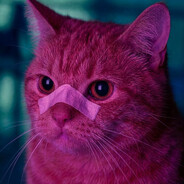 𝚌𝚘𝚝𝚗𝚎𝚣. - steam id 76561199040919347