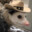 Opossum Bandit's avatar