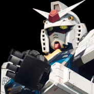 777弗洛里达没男人