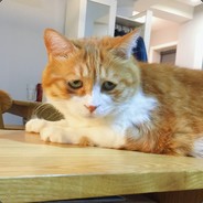 一天不摸没事的，两天不摸妹妹湿湿的