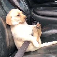 陕西彭于晏 在 线 白给