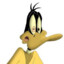 DAFFY FUCK