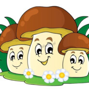 mimi270pl [Karpiarze]