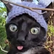 Avatar snapshot
