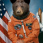 Space Teddy