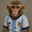 CHANGO
