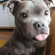 MLEM