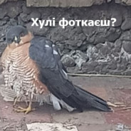 Запайкався