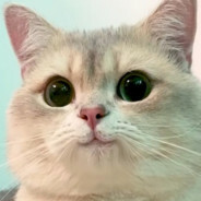 Бесстрашный Драк