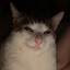 Archie