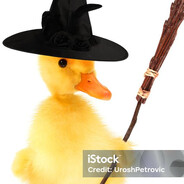 Queen Quackley XIV