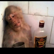 只想做六花的dog