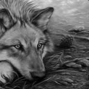 _ДэД_СтАлИн_