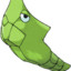 Metapod