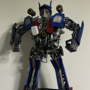 你猜我野牛到哪啦