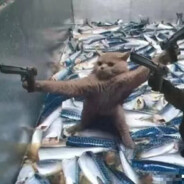 遥看天边月下人