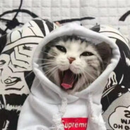 莲花楼楼主李莲花