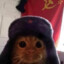 gato sovietico