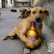 Chivas Kangalı avatar