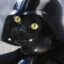 Darthcat