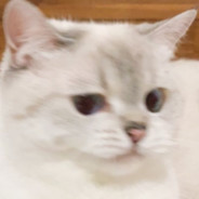 Miao