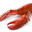 Exquisitely Tasteful Lobster