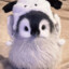 soop