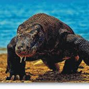 Venomous avatar