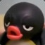 Pingu