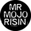 Mr Mojo Risin