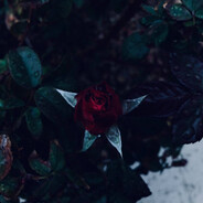 ♢