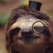 Sloth Habibi