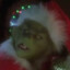 Grinch🐲
