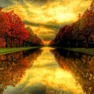 机智呆萌的300块