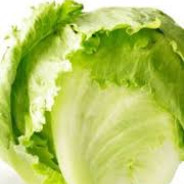 paranormal lettuce