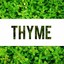 Thyms