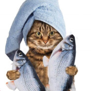 ☂ʙσ¢je☂-bhop.ex