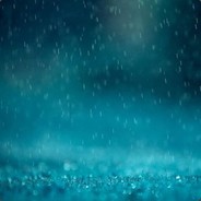 求求你别打我了