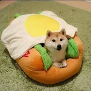 瓜被猹吃哭唧唧