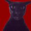 Evil Larry