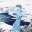 Aster_