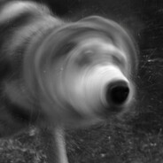 Stefane mi ai dat leanu pe jos