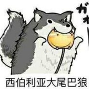 西伯利亚大尾巴狼