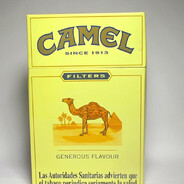KingCamel @bandit