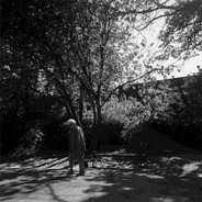 如同天上降菜谱