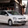 Polo Vivo