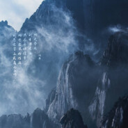 张张爱吃西兰花