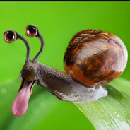 мать 6 детей